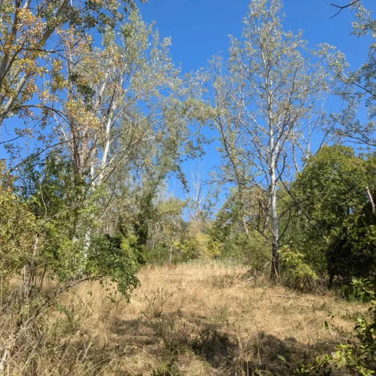 pxl 20250819 102219747