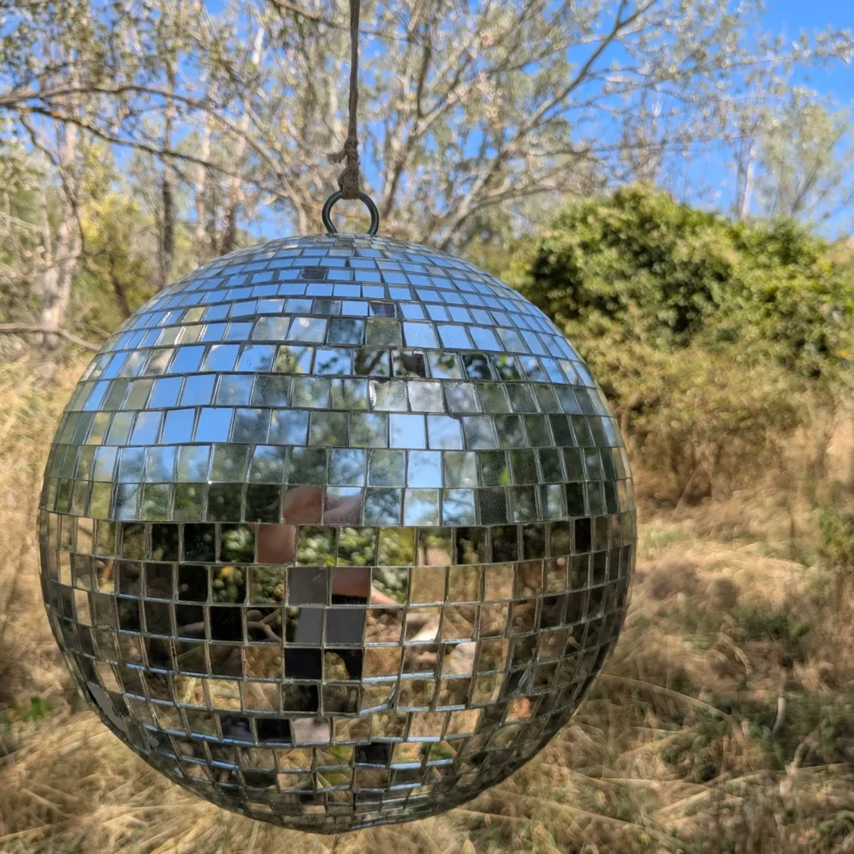 pxl 20250819 104755419 (1)