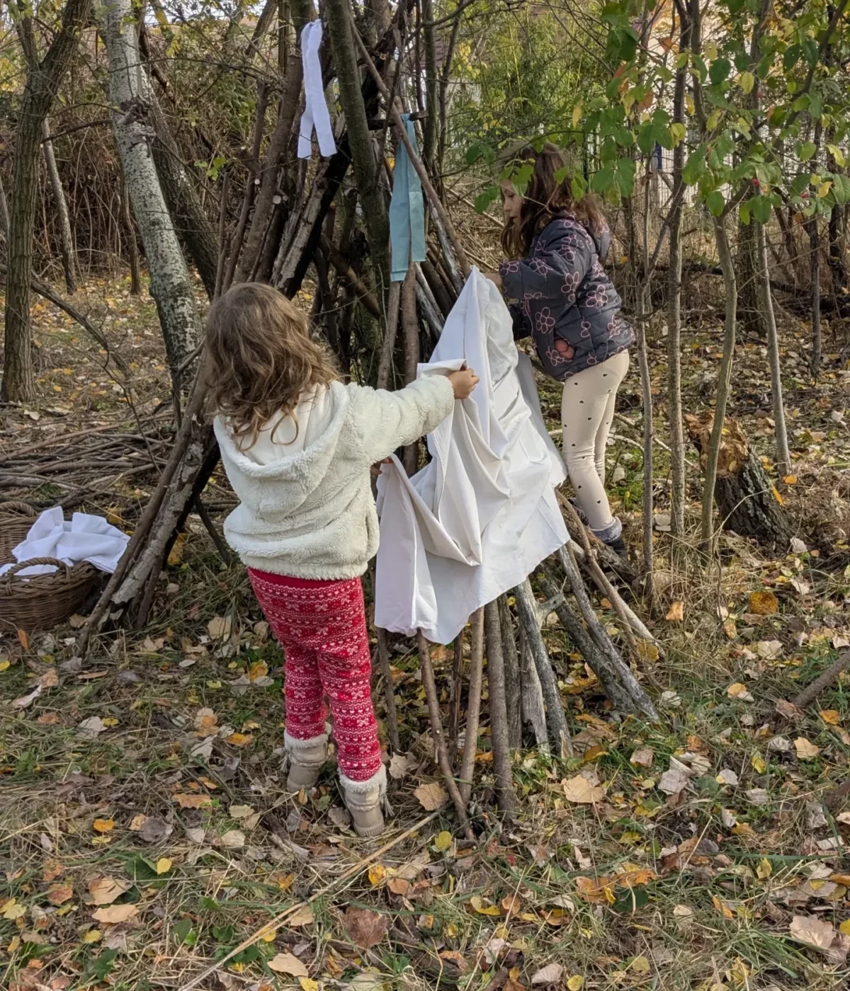 pxl 20251102 125209423.mp (1)